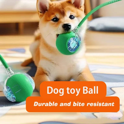 Interaktiver Hundeball – rollt & hüpft von selbst