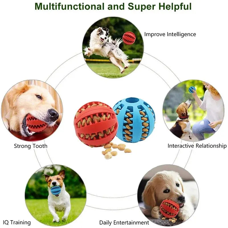 Snackball für Hunde mit Zahnpflege-Noppen