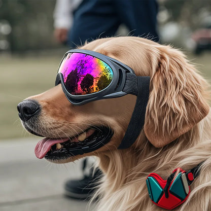Verstellbare Hundebrille mit UV-Schutz