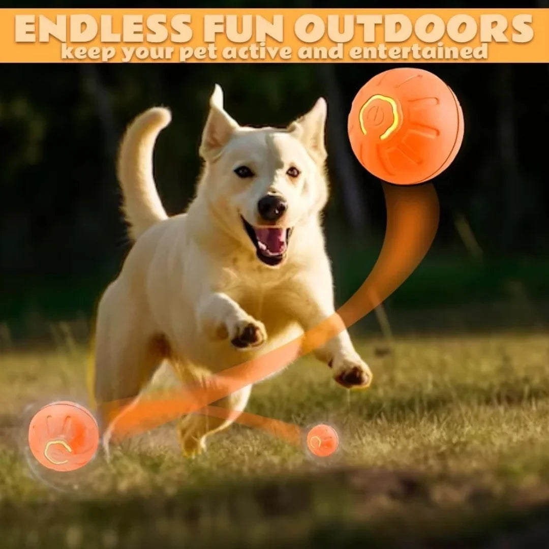 Interaktiver Spielball für Katzen und Hunde
