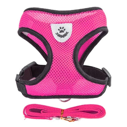 Reflektierendes Mesh-Hundegeschirr mit Leine