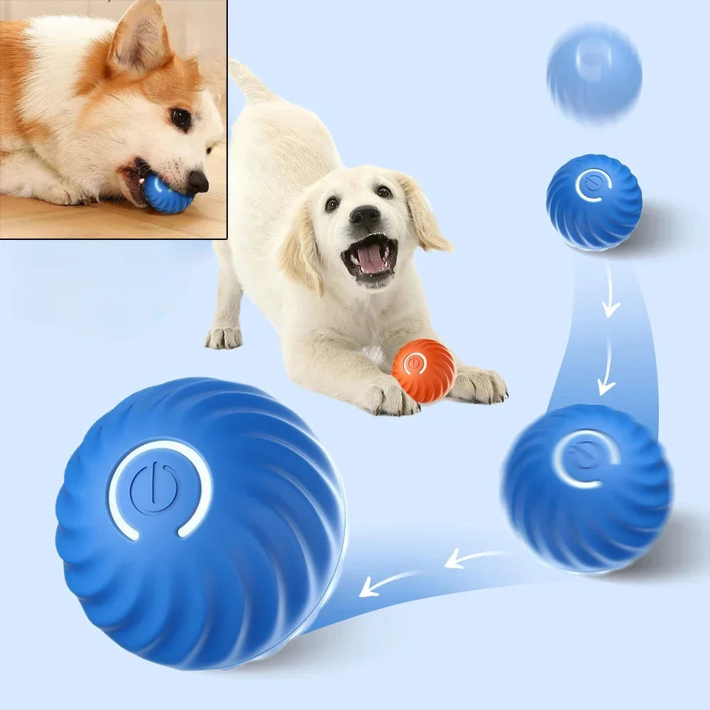 Interaktiver Hundeball – rollt und hüpft automatisch