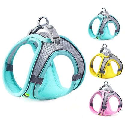 Reflektierendes Mesh-Hundegeschirr mit Leine