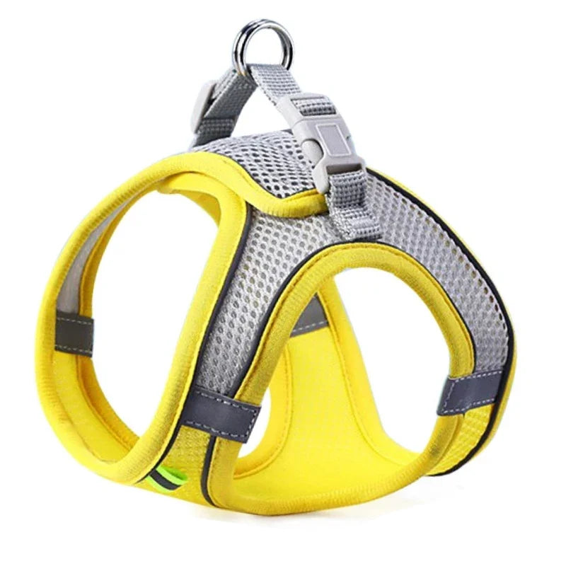 Reflektierendes Mesh-Hundegeschirr mit Leine