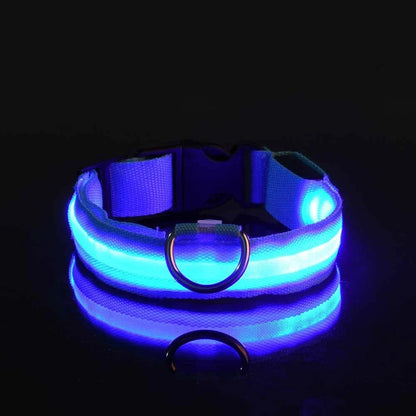 LED-Leuchtleine für Hunde