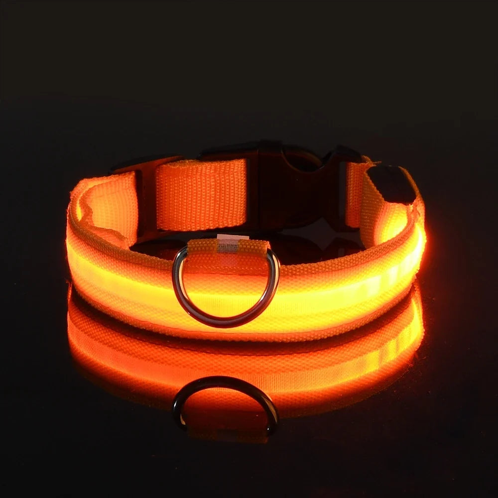 LED-Leuchtleine für Hunde