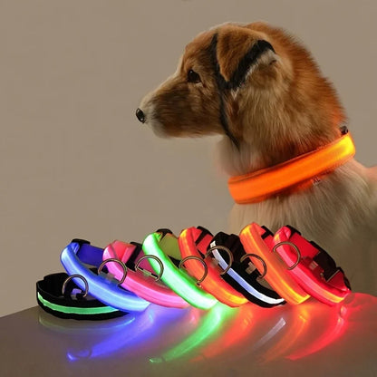 LED-Leuchtleine für Hunde