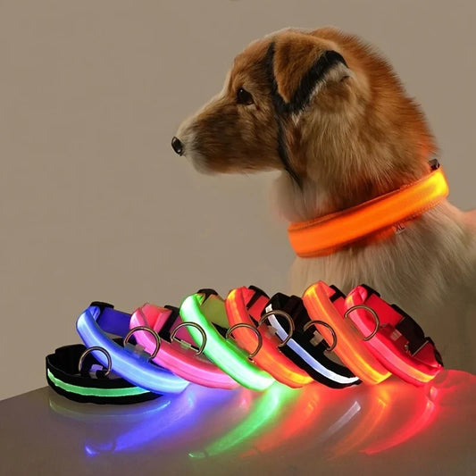 LED-Leuchtleine für Hunde