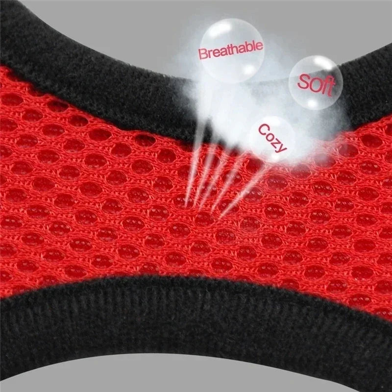 Reflektierendes Mesh-Hundegeschirr mit Leine