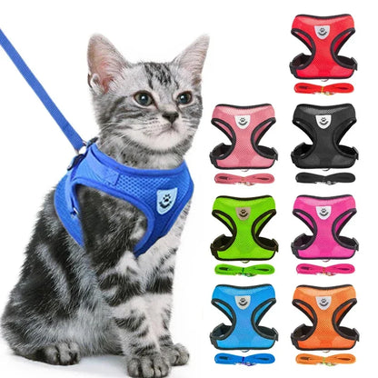 Reflektierendes Mesh-Hundegeschirr mit Leine