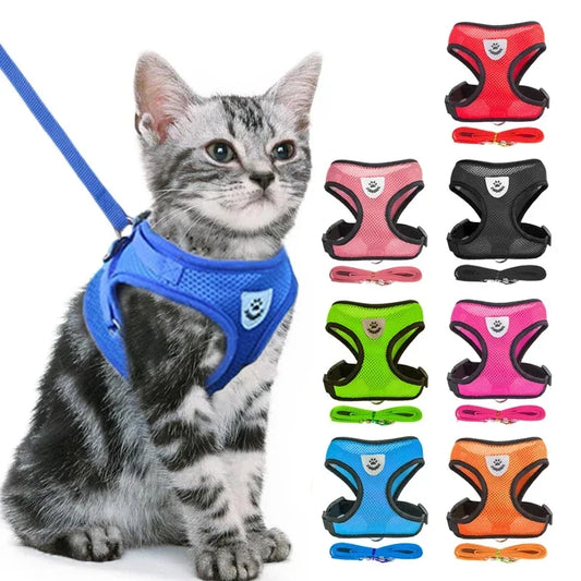 Reflektierendes Mesh-Hundegeschirr mit Leine
