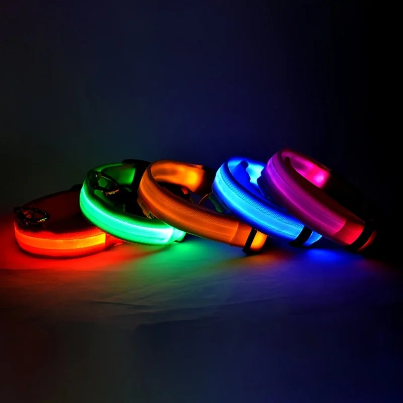 LED-Leuchtleine für Hunde