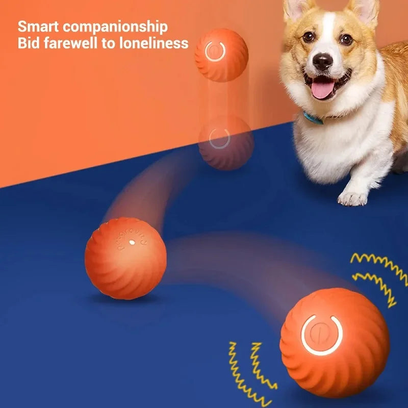 Interaktiver Hundeball – rollt und hüpft automatisch
