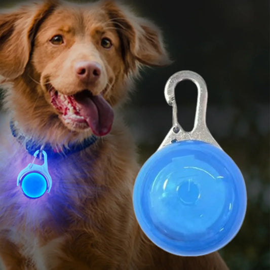 LED-Leuchtanhänger fürs Hundehalsband